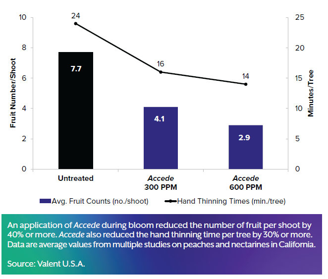 Accede fruit results