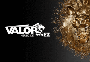 Valor EZ Herbicide for peanut weed control