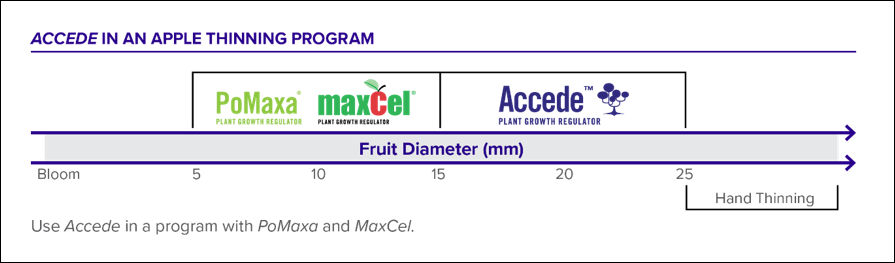 Accede thinning window chart