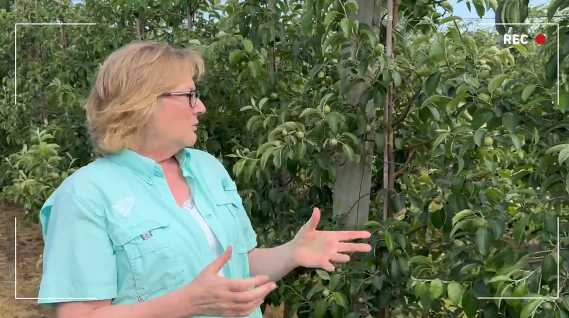 Amy Irish-Brown in apple orchard