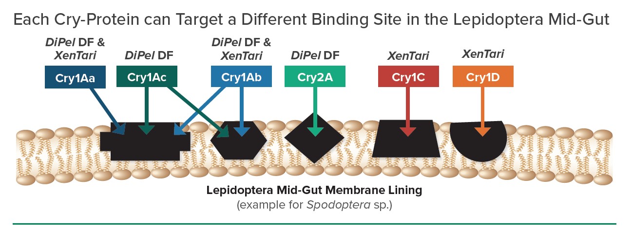 dipgraph1.jpg dipgraph1.jpg
