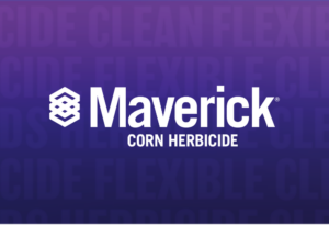 Maverick Corn Herbicide product image